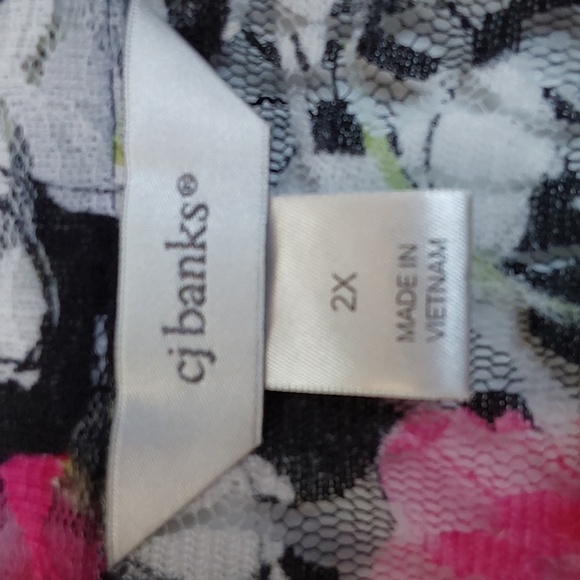 CJ Banks Vibrant Floral Pink Black Sheer Top Whimsigoth Artsy Sz.2X - Picture 8 of 9
